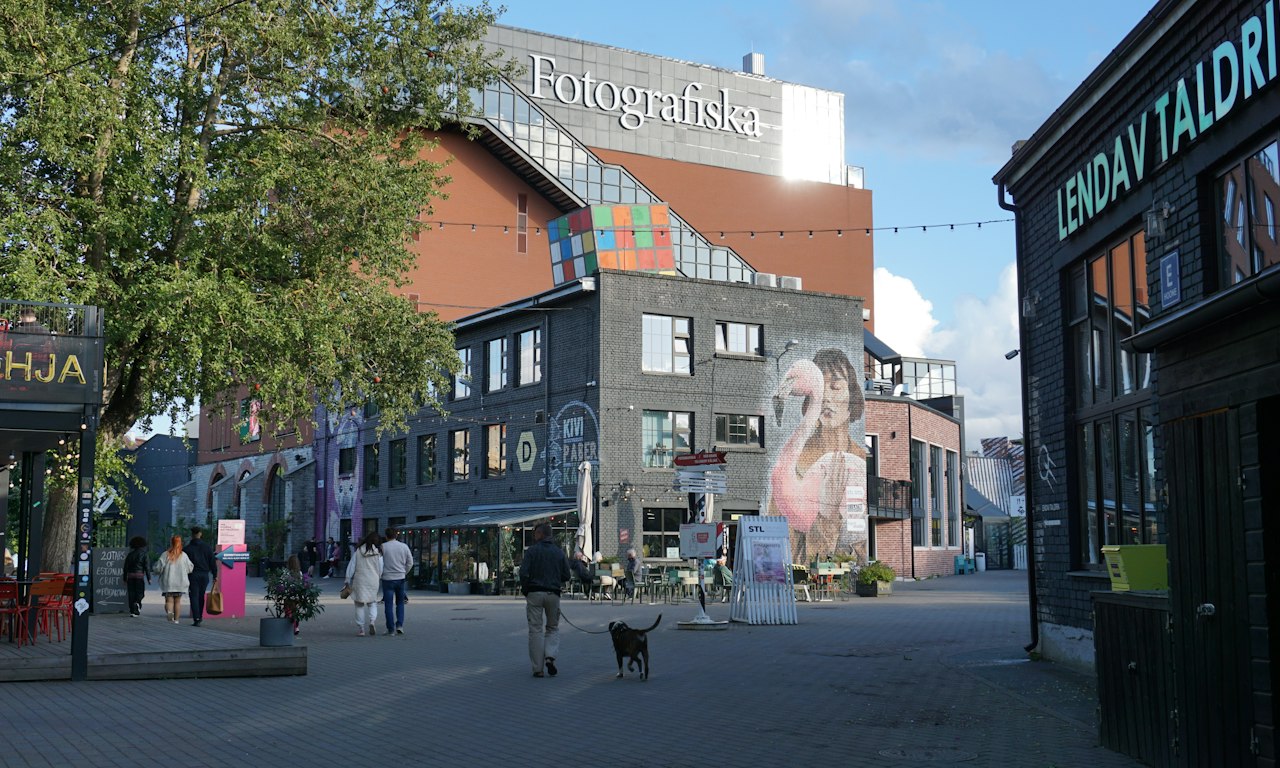 How Does A Register File Work Estonia Digital Nomad Visa: Complete 2026 Guide | Nomad Register